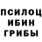 Псилоцибиновые грибы прущие грибы Fikret Cavadov