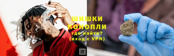 дмт Богородицк