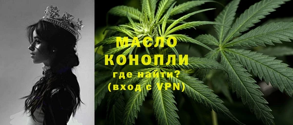 дмт Богородицк
