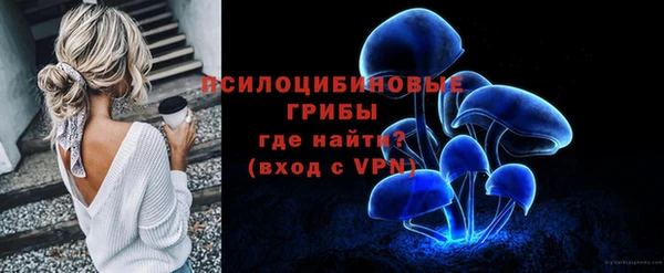 дмт Богородицк