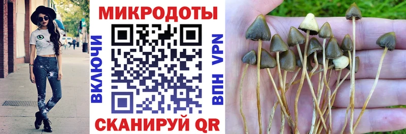 Псилоцибиновые грибы Psilocybine cubensis  купить закладку  Богородск 