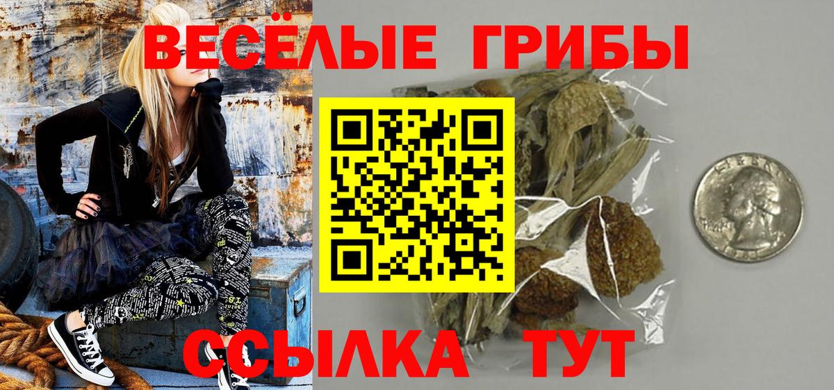 Богородск  Псилоцибиновые грибы мухоморы  Вход с VPN 